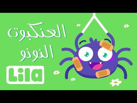 Itsy Bitsy Spider العنكبوت النونو 