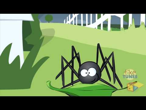 L Araignée Gypsie Itsy Bitsy Spider En Français 