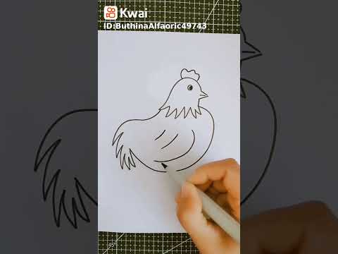 تعليم رسم دجاجة بطريقة سهلة 