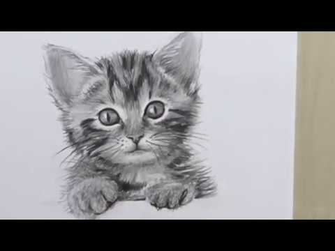 كيف ترسم قطة بغاية السهولة How To Draw A Cat 