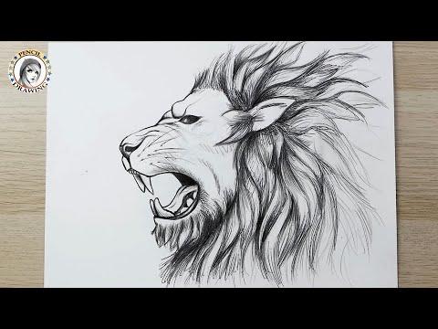 How To Draw Tutorials Drawing How To Draw A Lion How To Draw Animals رسم سهل أسد رسم 