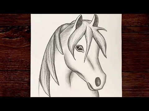 رسم سهل رسمة الحصان الجميل مع شعره الطويل رسم حيوان اليف و جميل رسم للفرس جميل رسم سهل و جميل 