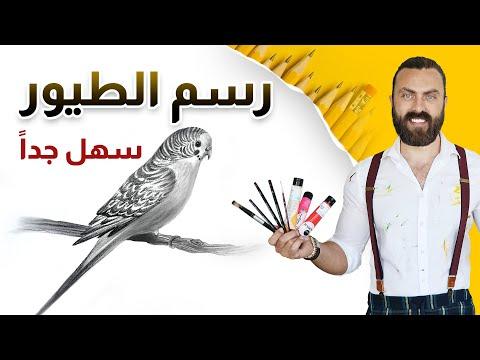 تعلم رسم الطيور بطريقة سهلة واحترافية 