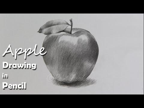 How To Draw An Apple In Pencil Step By Step How To Use Pencil Strokes Artist Supriyo 