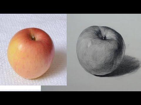 الرسم الأساسي كيفية رسم الفواكه أبل 