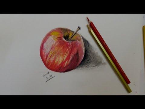 تعليم رسم وتلوين تفاحة بالالوان المائية مع الالوان الخشب تعليم الطبيعة الصامتة 