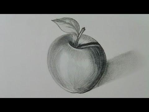 تعلم رسم تفاحة بقلم الرصاص تظليل طبيعة صامتة 