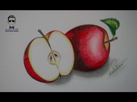 كيفية تعلم رسم تفاحة بالرصاص والالوان الخشبية مع الخطوات للمبتدئين 