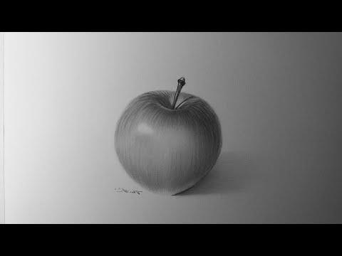 طبيعة صامتة رسم تفاحة بالقلم الرصاص 