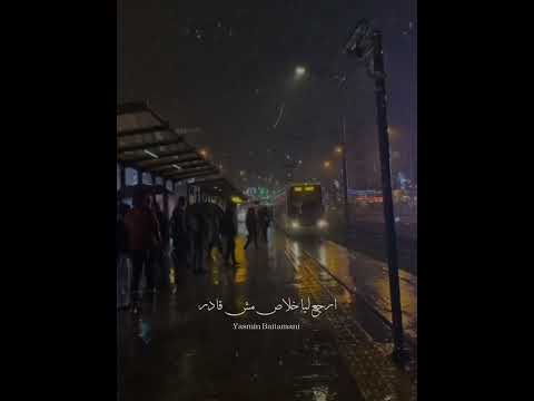 حالات واتس اب بعد الليالي عمرو دياب 