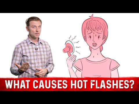 What Causes Hot Flashes Dr Berg On Problems Faced During Menopause 