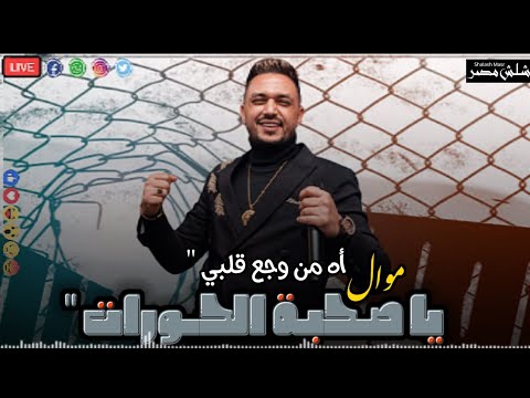 عمرو سلامة موال رفاق الحرات مازال الضرب على العين طوقان وسلطانة الموسم الجديد 2022 