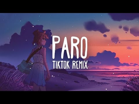 PARO TIKTOK REMIX Song Download 