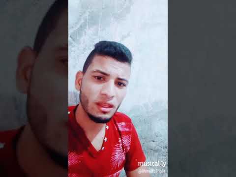 مثل الجاموسة أكلها أحمد بهجت 