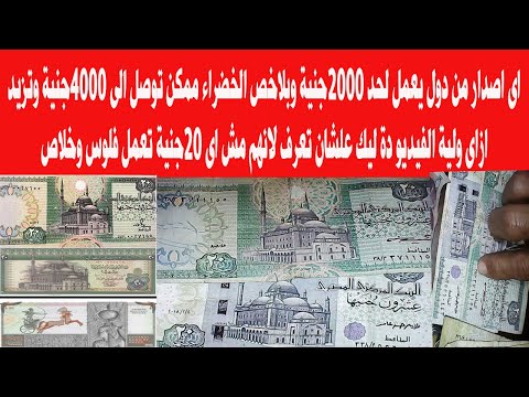 السعر 20 جنيهًا وكلهم يكسبون أموالًا جيدة. أنا أعرف مدى أهمية ذلك 