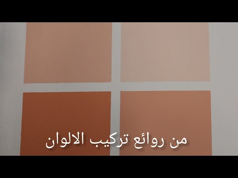 لاول مره تركيب لون السيمون و البصلي و الهافان الجملي باستخدام الاصفر الجملي من روائع تركيب الالوان 