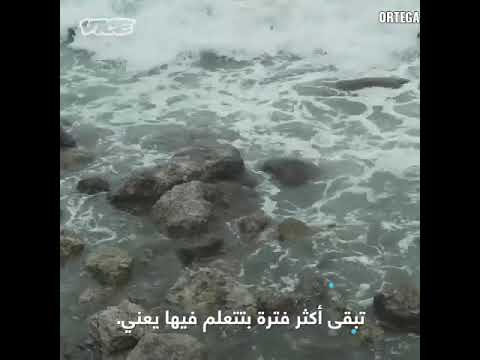 يا جماهير مروان بابلو، بابلو هو الشخص الذي لا يوجد لديه بديل 