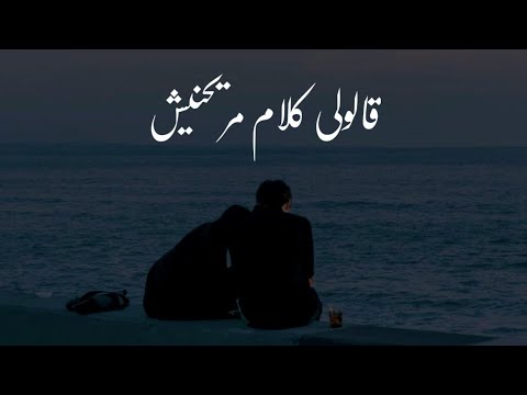 حالات واتس اب تامر عاشور 