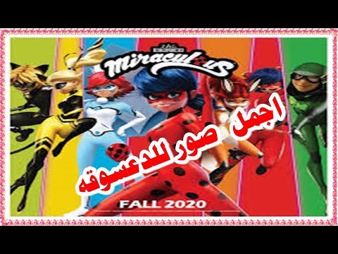 جمل صور الدعسوقة Ladybug صور جميلة الدعسوقه ميراكلس الدعسوقه والقط الاسود 