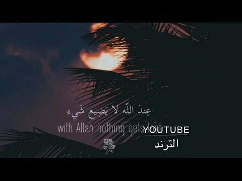 صوت جميل ومريح للغاية للقارئ عبد الرحمن مسعد HD 