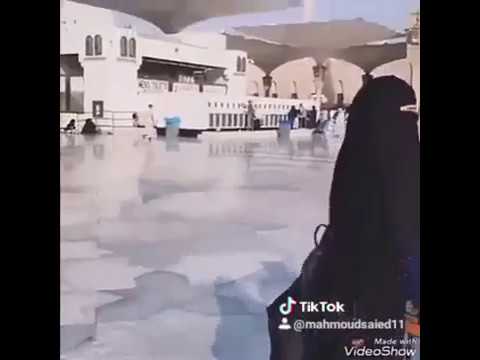 على المدينه وعلى المدينه يا رب نصلي في مسجد نبينا حالة واتس 
