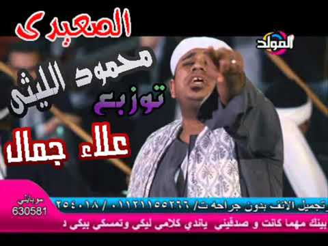كليب الصعيدي دايما ريس من فيلم كلبي دليلي غناء محمود الليثي 
