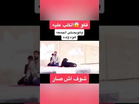 موقف صعب حالات واتس اب دينية قصيرة مؤثرة خطير مرعب قصة موعظة مقطع فيديو رائع مقاطع انستا تويتر تيك 