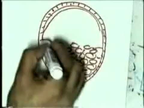 General Embryology 03 Embryo 3 Dr Sameh Ghazy 