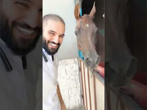 شاهد انواع الاصوات لدى الخيل 