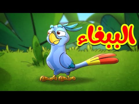 طيور الببغاء الصغيرة 