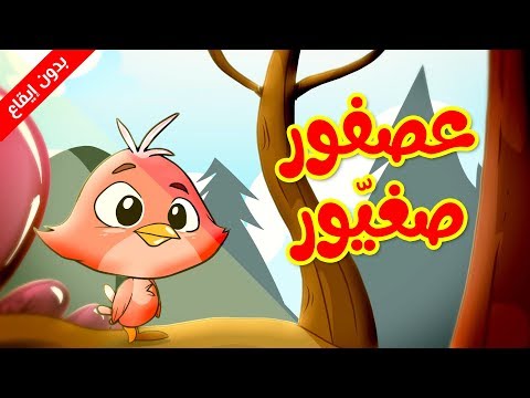 طائر صغير بدون ايقاع طيور طيور بيبي 