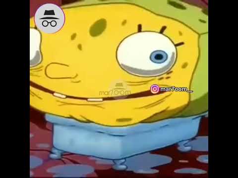 Meme SpongeBob ميم سبونجبوب مرحوم ميمز 