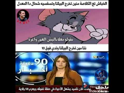 ميمات بنكهة سبونج بوب 