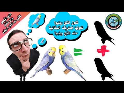 تركيبة قوس قزح هي المزيج المثالي 