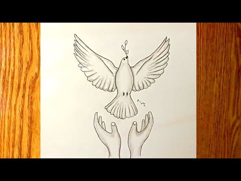 رسم سهل كيفيه رسم حمامه السلام مع يدين خطوه بخطوه تعليم الرسم رسومات بالرصاص 