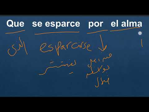 El Amor شرح وترجمة أغنية 