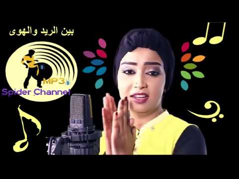 رماز ميرغني بين الريد والهوى 