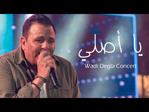 Mohamed Fouad Ya Asly Music Video محمد فؤاد يا أصلي فيديو كليب حفلة وادي دجلة 