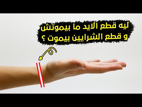 لماذا قطع اليد لا يموت وقطع الشرايين لا يقتل؟ 