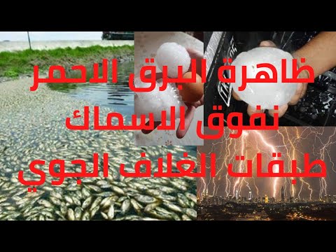 ظاهرة البرق الأحمر موت الأسماك طبقات الجو 