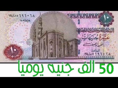 ابدأ مشروعًا بـ 10 جنيهات سيربحك 50 ألف جنيه شهريًا 