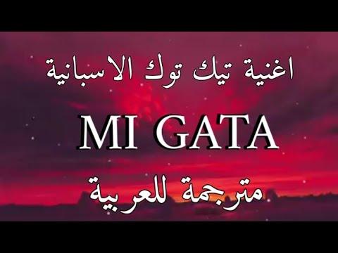 اغنية تيك توك الاسبانية 18 Toma Tussi Mi Gata مترجمة للعربية Standly Lyrics 