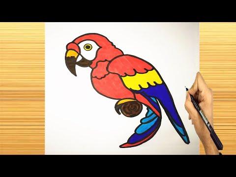 كيف ترسم ببغاء تعليم الرسم رسم سهل طريقة رسم ببغاء 