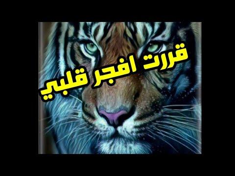 قررت تفجير كلبي أبو الفوز قولاكي 