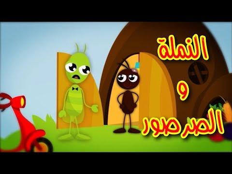 النملة والصرصور من طيور الجنة 