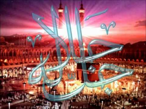 الشيخ أسامة جلال عامر النساء 