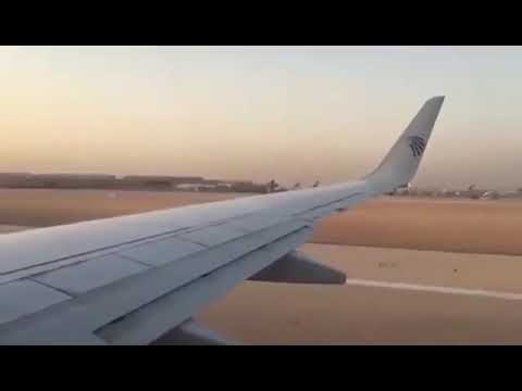ثعبان كوبرا على احدى طائرات مصر للطيران يلدغ احد المسافرين 
