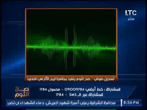 تسجيل صوتي مسرب كارثة لاتفاق بين تجار الآثار لبيع الآثار المصرية 