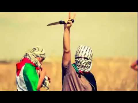 أعلنها الفلسطيني أتحداك ماتبكي على فلسطين 