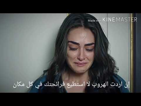 أغنية رامو وسيبل “جرحي لا ينزف ولا يلتئم” مترجمة من مسلسل رامو رامو سيبل كليب رامو ديزي 